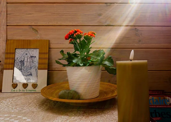 Kis Fakucko, Balatonhoz Koezel דירה