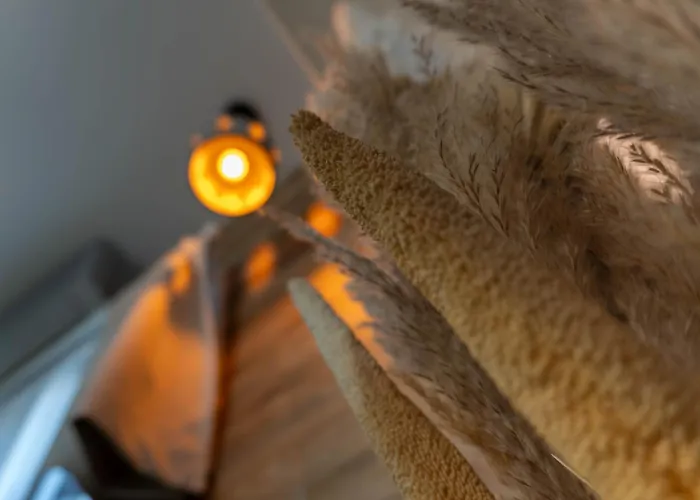 Kis Fakucko, Balatonhoz Koezel